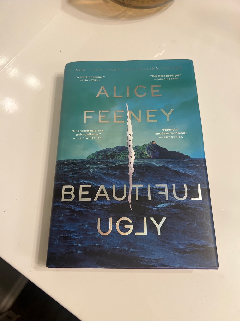 Beautiful Ugly Book